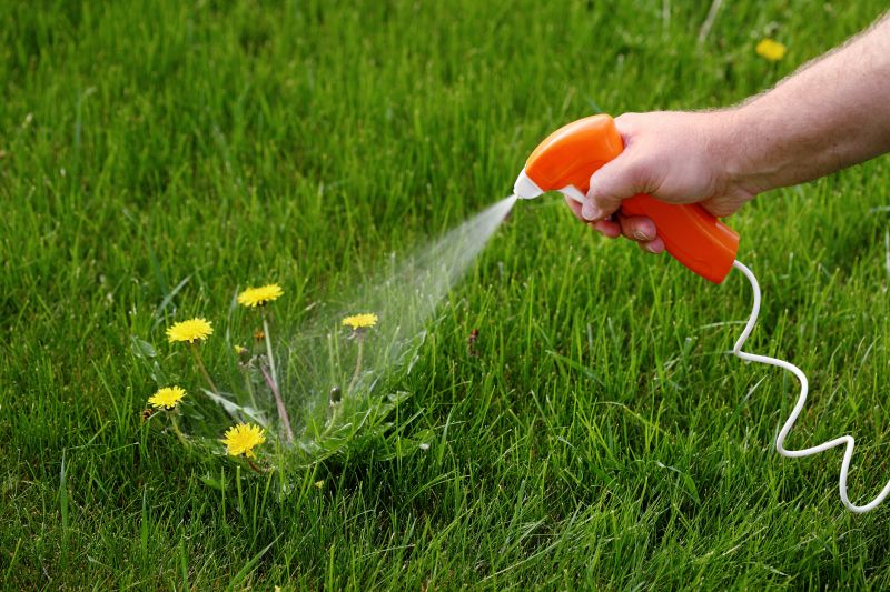 Lawn Weed Treatment in Honolulu, HI
