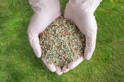 Nourish Your Lawn with Fertilizing!